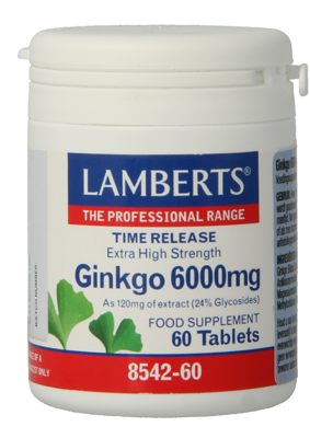 Lamberts Ginkgo 6000mg Time Release Tabletten