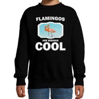 Sweater flamingos are serious cool zwart kinderen - flamingo vogels/ flamingo trui 14-15 jaar (170/176)  -