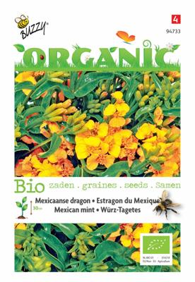 Organic Tagetes lucida Tuinplus - Buzzy