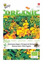 Organic Tagetes lucida Tuinplus - Buzzy