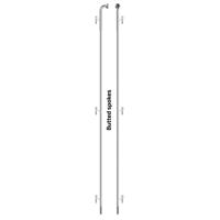 Sapim spaak 14-300 x-strong rvs zonder nippel (100st)