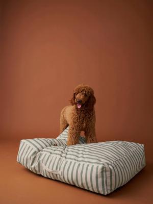 XXL matras voor honden FAMILY groen, gestreept