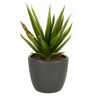 Bloempot mat antraciet - keramiek voor kamerplant - H17 x D19.5 cm - grijs Bloempot mat antraciet - keramiek voor kamerplant - H17 x D19.5 cm - grijs