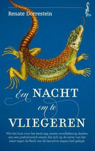 Een nacht om te vliegeren - Renate Dorrestein - ebook