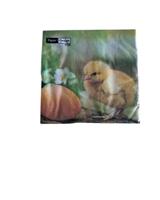 Duni Servetten Chicken with egg 33x33cm Duni Servetten Chicken with egg 33x33cm