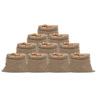 Jutezakken 10 stuks 220 g/m² 100x110 cm 100% jute