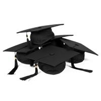 Boland Afstudeer hoed/muts geslaagd - 8x - zwart - voor volwassenen - Examen diploma