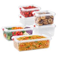 Plasticforte Vershoudbakjes set Frost - 6x stuks - vriezer bakjes - kunststof - diverse maten