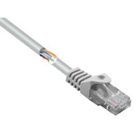 Renkforce RF-5043982 RJ45 Netwerkkabel, patchkabel CAT 5e U/UTP 2.00 m Grijs Snagless 1 stuk(s) - thumbnail