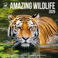 Amazing Wildlife Kalender 2026