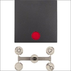 Berker B1/B3 Drukknop met controlevenster antraciet 16211606
