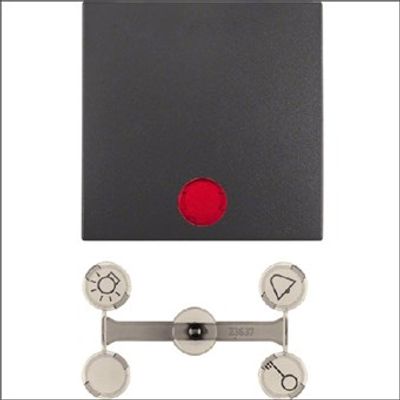 Berker B1/B3 Drukknop met controlevenster antraciet 16211606