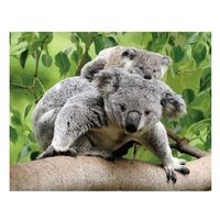 Dieren magneet 3D koalaberen   -
