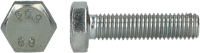 Pgb-Europe pgb-fasteners | zeskanttapbout 8.8 din 933 m10x100 zn | 50 st 933801010001003