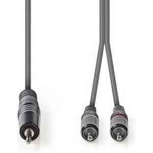 Stereo audiokabel | 3,5 mm male - 2x RCA male | 5,0 m | Grijs