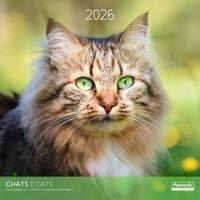 Katten Kalender 2026