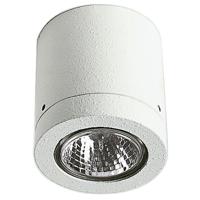 Albert Opbouwspots buiten plafondCylinder 7cm wit - 682140