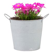 Emmer/plantenpot/bloempot - zink - whitewash - D14 x H12 cm