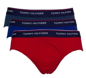 Tommy Hilfiger slip premium essentials