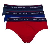 Tommy Hilfiger slip premium essentials