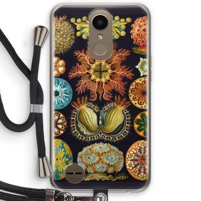Haeckel Ascidiae: LG K10 (2017) Transparant Hoesje met koord