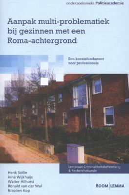Aanpak multi-problematiek bij gezinnen met een Roma-achtergrond (Paperback)