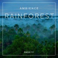 Ambience - Rainforest - thumbnail