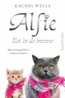 Rachel  Wells Alfie   Kat in de sneeuw - thumbnail