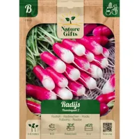 Radijs flamboyant 2 per 7m