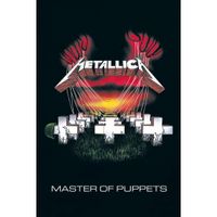 Themafeest Metallica poster 61 x 91,5 cm - thumbnail