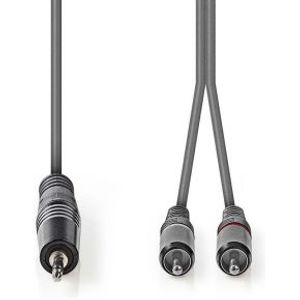 Stereo audiokabel | 3,5 mm male - 2x RCA male | 1,5 m | Grijs