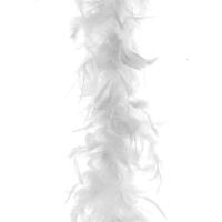 Carnaval verkleed veren Boa - kleur wit - 2 meter - Verkleedkleding accessoires Carnaval verkleed veren Boa - kleur wit - 2 meter - Verkleedkleding accessoires
