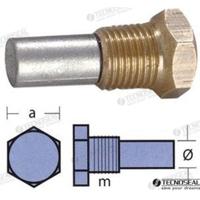 Ánodos para Buck TEN02053T - KIT ANODO BUKH C/TAPON