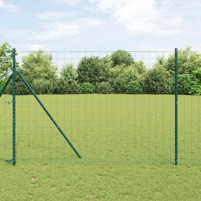 Euro Hek Groen 1.6 x 10m PVC-gecoat ijzer