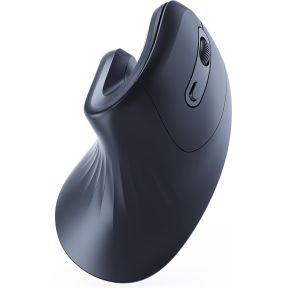 Gembird MUSW-ERGO-03 muis Thuis Rechtshandig RF Draadloos Optisch 1600 DPI