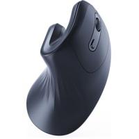 Gembird MUSW-ERGO-03 muis Thuis Rechtshandig RF Draadloos Optisch 1600 DPI