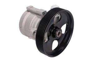 Servo pomp 480089