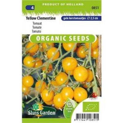 Kerstomaat biologische zaden - Yellow Clementine