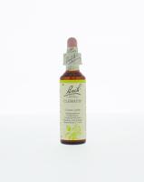 Bach Clematis/bosrank
