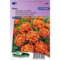 Tagetes Patula zaden Bolero afrikaantje - thumbnail