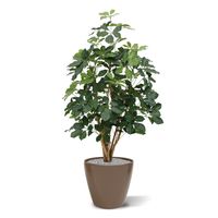 Schefflera Exotica kunstplant 120cm - FR - brandvertragend