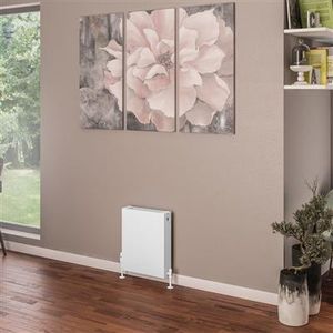 Eastbrook Type 22 paneel radiator 40x50cm 647W wit glans