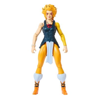 Mattel MOTU x Thundercats Cheetara