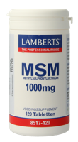 Lamberts MSM 1000mg Tabletten