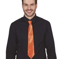 Carnaval verkleed stropdas - oranje - polyester - volwassenen/unisex   -