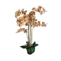 Phalaenopsis Orchidee in pot 110 cm Tiger Yellow kunstplant Buitengewoon de Boet - Buitengewoon de boet