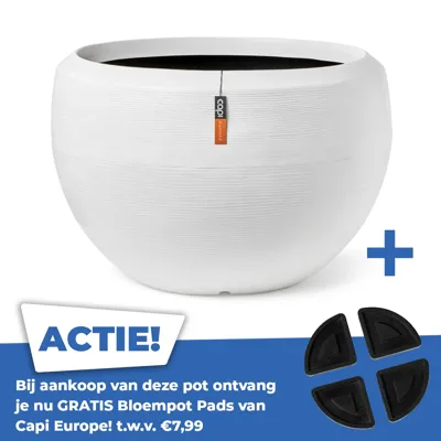 Vaas Bol Arc Granite 88x60 Wit