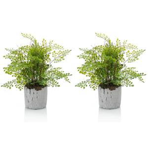 Emerald Kunstplant Varen - Set van 2x stuks - 28 cm - In Pot - Decoratie Kunstplanten voor binnen