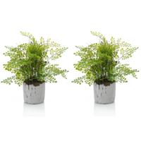 Emerald Kunstplant Varen - Set van 2x stuks - 28 cm - In Pot - Decoratie Kunstplanten voor binnen