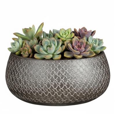 Mica decorations Bloempot / plantenpot schaal Madeira - zilver - terracotta - 27 cm - schubbenpatroo